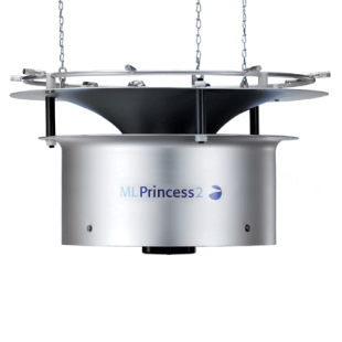 ML Princess