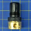 Nortec 160-3002 Brass Water Pressure Regulator